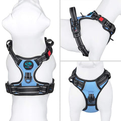 PHOEPET mango de entrenamiento para control cercano y fácil manejo.