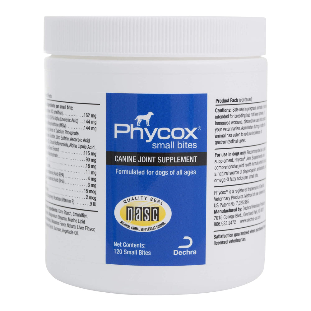 PhyCox gominolas para articulaciones, perro masticando para apoyar la movilidad.
