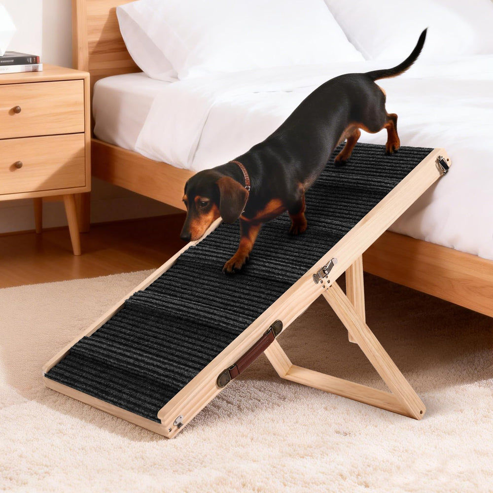 PiChongspace rampla para perros de 39 pulgadas sube a cama, sofá o coche con seguridad.