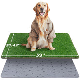 PICK FOR LIFE alfombra de hierba artificial para perros, ideal para uso interior y exterior