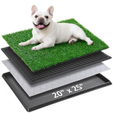 Bandeja PICK FOR LIFE con césped artificial 20x25 para orinar de cachorros