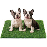 PICK FOR LIFE: césped artificial para perros, ideal para entrenamiento suave y realista.