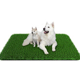 PICK FOR LIFE césped artificial para perros: vista general y tamaño amplio para hacer sus necesidades