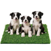 PICK FOR LIFE: pasto artificial para perros, pad frontal para entrenamiento