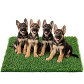 PICK FOR LIFE: pasto artificial para perros uso interior y entrenamiento suave