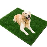 PICK FOR LIFE pasto para perros, espacio amplio para entrenar y jugar.