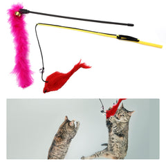 PietyPet caña de pesca: promueve movimiento y juego compartido.