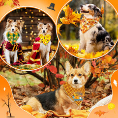 Piklodo bandanas para perros: temas festivos de otoño para destacar.