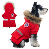 Abrigo impermeable PINA para perros pequeños con capucha de pelo sintético, protege del viento.