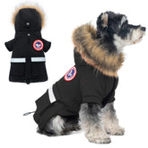PINA abrigo impermeable para perros pequeños protege contra la lluvia.