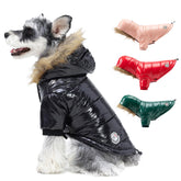 Chaqueta PINA para perro con capucha de pelo artificial, abriga durante paseos fríos.