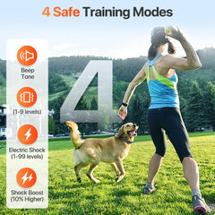 PINCOFIO collar de entrenamiento impermeable IP68 para uso bajo lluvia y charcos.
