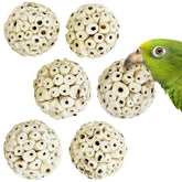 PINVNBY bolas sola para aves: conjunto de 6, ideal para masticar y entretener.