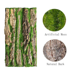 PINVNBY fondo de 40x30 cm para terrarios, decoración duradera para reptiles.