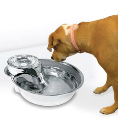 Bebedero Pioneer Pet con capacidad de 60 onzas en acero inoxidable.