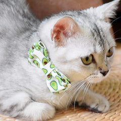 Pipidog collar-gato-lazo-sandia: campana audible para localizar al gato.