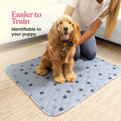 Pitpet absorcion superior, almohadilla que previene derrames y desorden en casa.