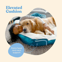 Pitpet cama con funda lavable y removible para limpieza fácil.