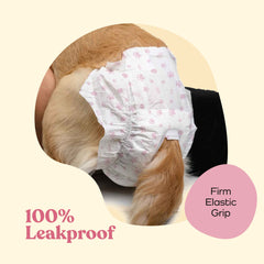 PITPET núcleo absorbente en gel para absorción rápida y cuidado de la piel.