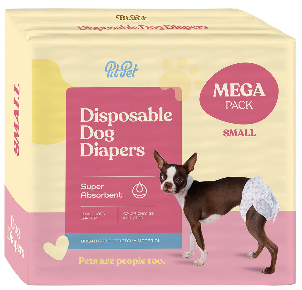 PITPET pañales para perras en empaque de doce unidades para uso diario seguro.