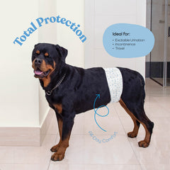 PITPET pañales para perro macho con tecnología FlashDry para absorción rápida.