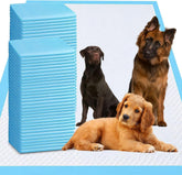 PJYRTOQ almohadillas para perros grandes protegen suelos con tamaño 36x55.