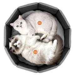 PJYuCien cama gatos grande, interior espacioso para felinos tranquilos