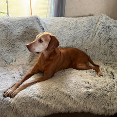 Manta PJYuCien gris de doble cara para descanso cómodo de tu perro