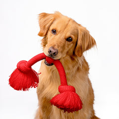 Playology diseño duradero para perros grandes, ideal para uso en interiores.