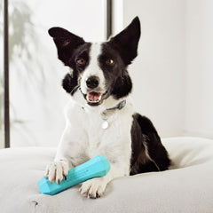 Playology Juguete perro flotante para agua: ideal para juegos en piscinas y playas.