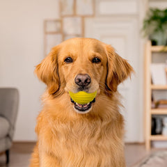 Playology olor a pollo con Encapsiscent para juego prolongado