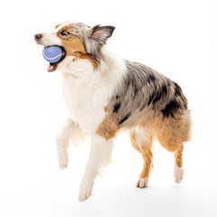 Pelota con aroma a arándano de Playology, diseño Encapsiscent.