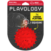 Playology: Pelota espiga para perros medianos, ideal para juego activo y mordisqueo.