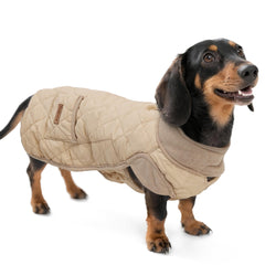 Chaleco PlentiVive para dachshund, vista frontal, aporta cobertura contra el frío.