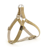 Arnés Plutus Pet, vista frontal, ideal para paseos diarios con ajuste cómodo.