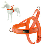 Arnés PLUTUS PET anti tirones con malla transpirable para comodidad