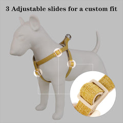 PLUTUS PET arnés ajustable para un ajuste personalizado y cómodo.