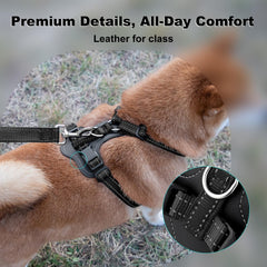 Arnés Plutus Pet con dos anillos D para control versátil.