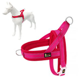 Arnés Plutus Pet para perro con malla transpirable para paseos cómodos.