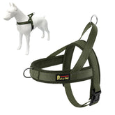 Arnés No Pull de Plutus Pet para perros evita tirones durante el paseo
