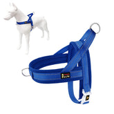 Arnés Plutus Pet No Tiro vista frontal, cómodo y seguro para paseos