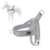 Arnés Plutus Pet sin tirones con malla transpirable para comodidad durante paseos