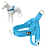 Arnés Plutus Pet sin tirones con malla ventilada para comodidad diaria