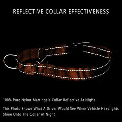 PLUTUS PET costuras reflectantes mejoran visibilidad nocturna