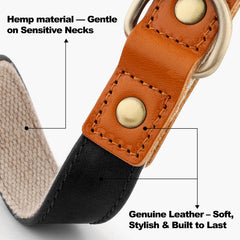 Detalle de hebilla rápida en collar PLUTUS PET para ponérselo fácilmente.