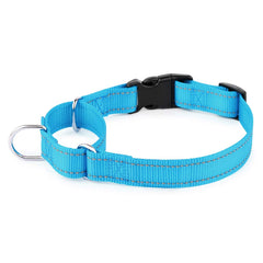 PLUTUS PET Collar martingala reflectante para mayor control nocturno durante el adiestramiento