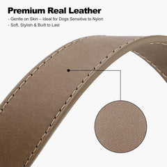 Collar PLUTUS PET cuero real con anillo en D resistente para paseos