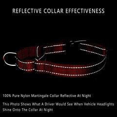 Collar PLUTUS PET con detalles reflectantes para paseos nocturnos seguros.