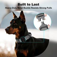 Plutus Pet cierre metálico resistente: sujeción confiable durante paseos activos.