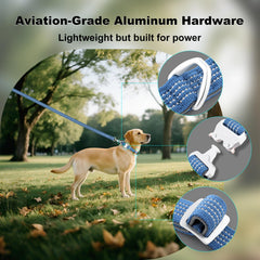 Collar reflectivo PLUTUS PET mejora la visibilidad en paseos vespertinos